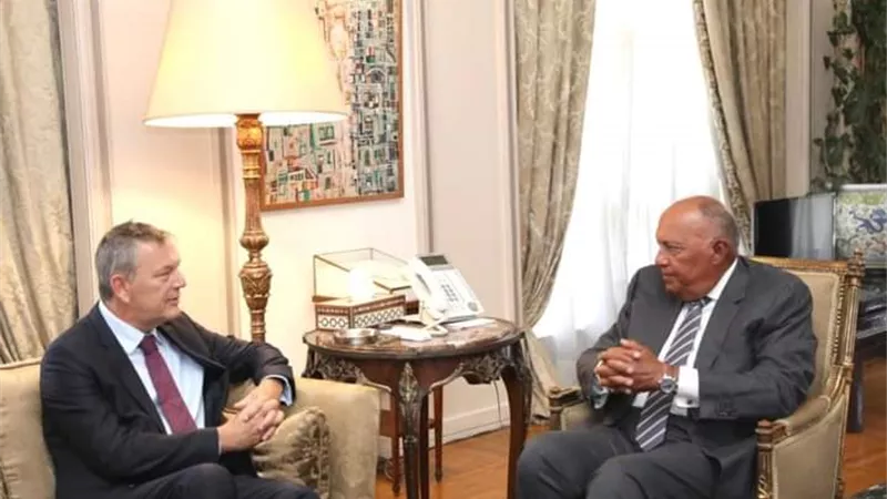 وزير الخارجية: 