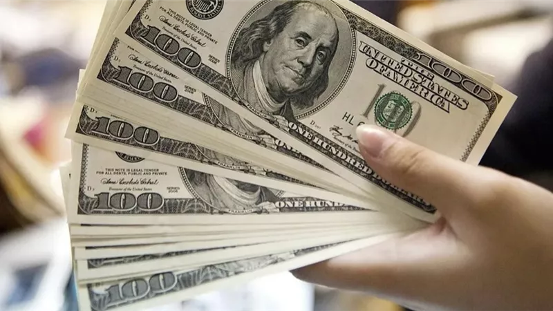 الدولار يحافظ على مستواه في البنوك المصرية ويخفف المخاوف الاقتصادية