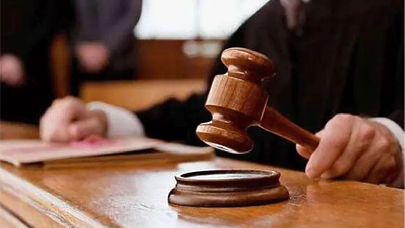 مد أجل محاكمه متهمي «خلية المرج الثالثة» لسماع الشهود