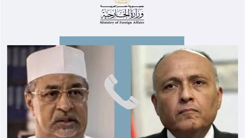 شكري والنضيف يبحثان هاتفيًا تطورات الوضع في السودان