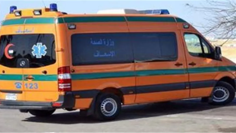 مصرع مبيض محارة سقط من أعلى سقالة بالدقهلية
