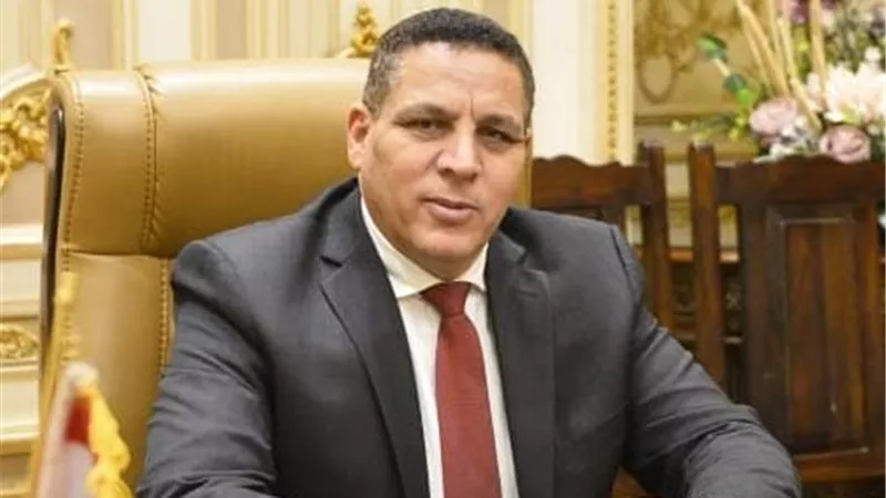 أحمد محسن: القمة المصرية التركية فرصة ثمينة لتقوية العلاقات بين البلدين