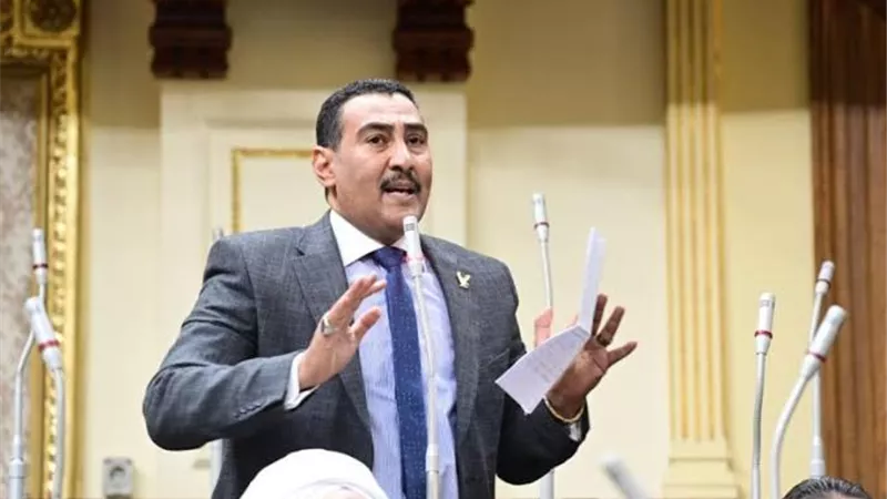 طاقة النواب: المصريين يقفون خلف القيادة السياسية