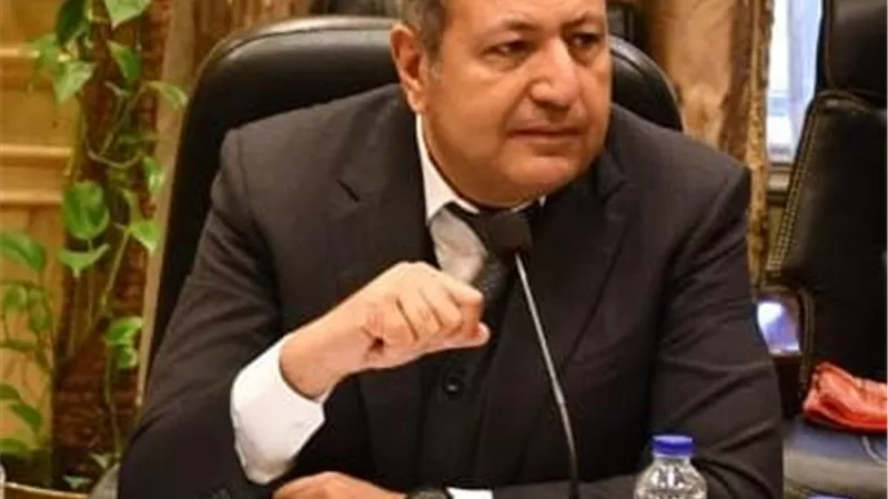 طارق شكري: زيارة أردوغان لمصر ستفتح صفحة جديدة للعلاقات بين البلدين