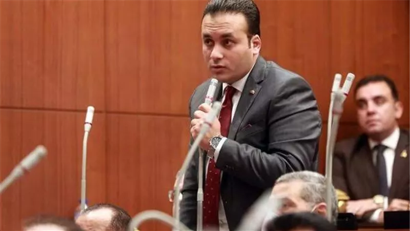 النائب عمرو فهمي: المستثمر الأجنبي يجد في المستثمر المحلي مرآة له
