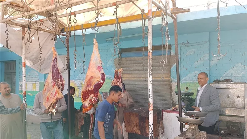 ضبط 87 مخالفة تموينية متنوعة في المنيا