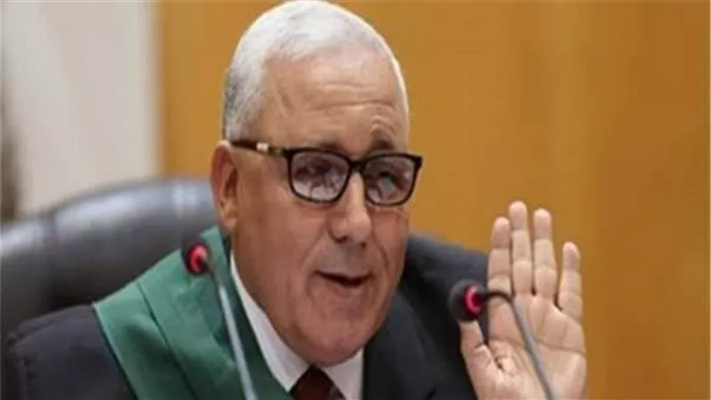 الجنايات تُقضي بالمشدد لمتهم بخلية 