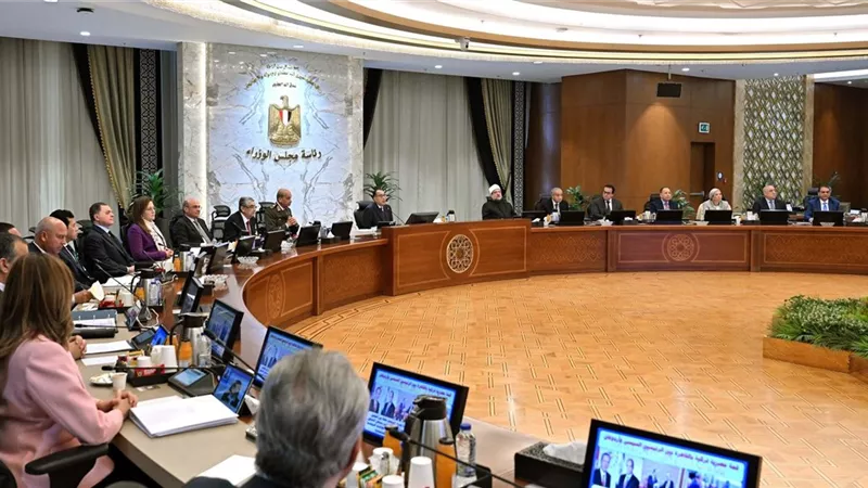 مدبولي يوافق على قرار تحديد سعر توريد القطن لموسم 2025