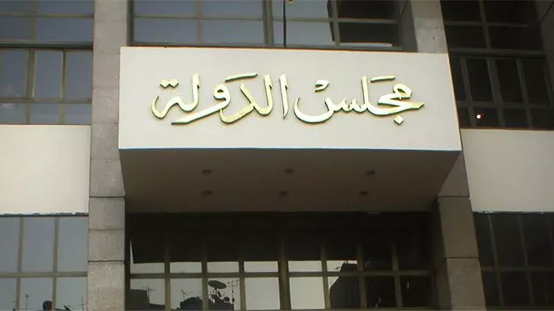 رئيس مجلس الدولة: التحول الرقمي يساعد على تحقيق العدالة وتقليل جهد المواطن