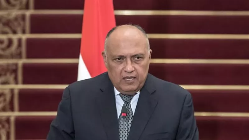 شكري: السيطرة الإسرائيلية على معبر رفح هي السبب في عدم دخول المساعدات لقطاع غزة