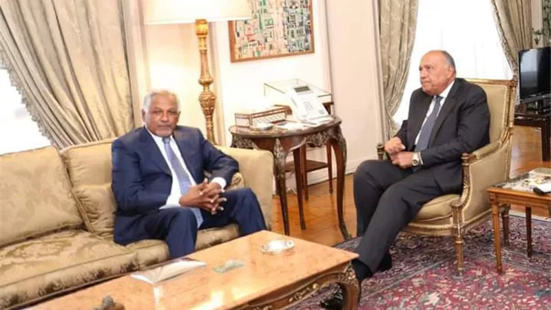 شكري يستقبل المبعوث الخاص لرئيس مجلس السيادة السوداني