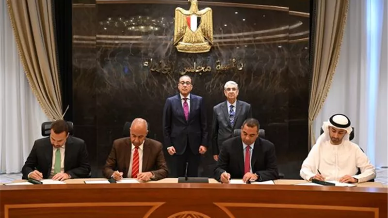 بإستثمارات تتخطى الـ10 مليار دولار.. تعاون مصري إماراتي لإنشاء محطة إنتاج الكهرباء