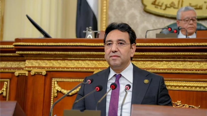 محسب: المذكرة المصرية لمحكمة العدل تعكس حرصها علي دعم القضية