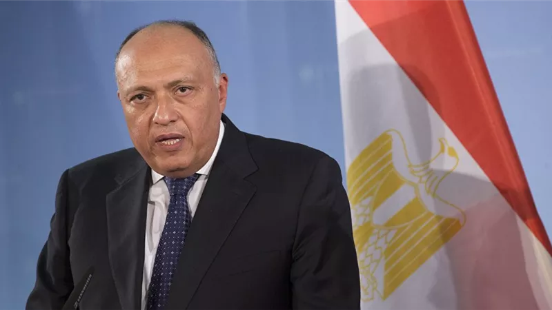 مصر وفرنسا تتفقان على تعزيز التعاون لحل الأزمة اللبنانية