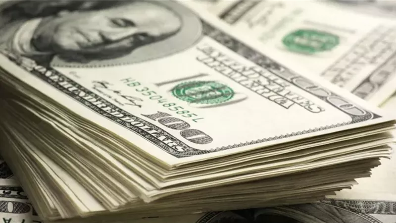 مستجدات سعر الدولار في مصر: استقرار في البنوك