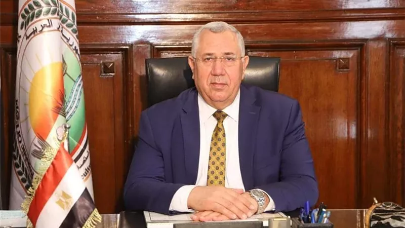بحوالي 107 مليون دولار.. الإفراج عن 237 ألف طن أعلاف خلال 7 أيام