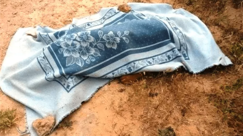 النيابة تُحيل قاتل طفل المرج للمحاكمة الجنائية