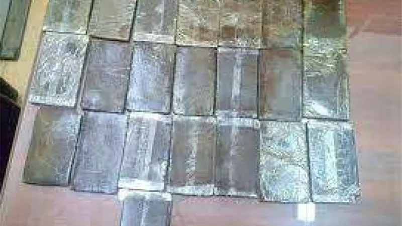 ضبط موظف علاقات عامة بحوزتة 24 طربة حشيش بالعاشر من رمضان