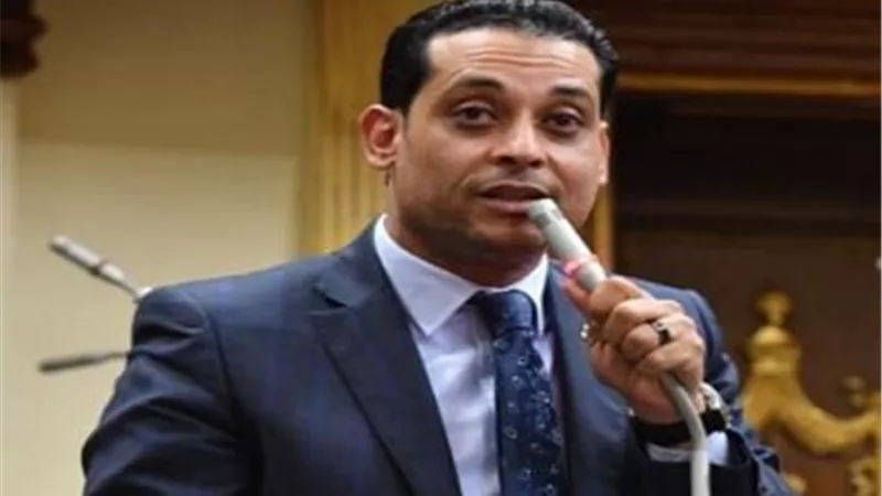 العمدة:  الأدلة المصرية أمام العدل الدولية قوة دافعة لإصدار قرار يحمي حقوق فلسطين
