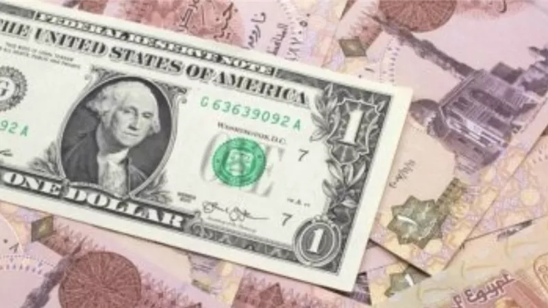 ثبات الدولار يثير التفاؤل: هل ستشهد الأسواق المصرية فترة استقرار مطولة؟