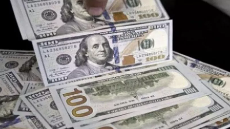 سوق الصرافة في مصر يشهد استقرارًا في سعر الدولار