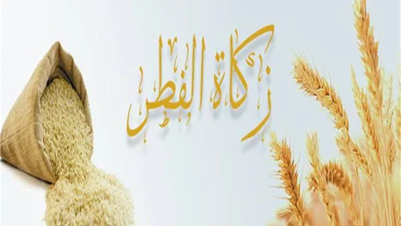 الافتاء تكشف أحكام زكاة الفطر