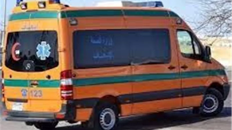 إصابة طفل إثر تناوله مبيد حشري بالشرقية