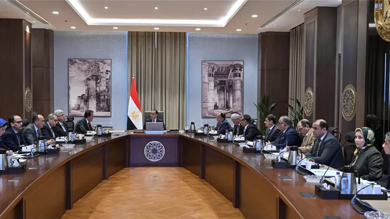 «مدبولي» يتابع جهود توفير الأدوية والمستلزمات الطبية بالمستشفيات