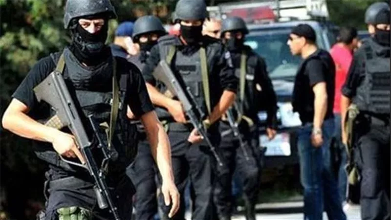 ضبط مواد مخدرة بقيمة 7.5 مليون جنيه فى ثانى أيام العيد بالسويس