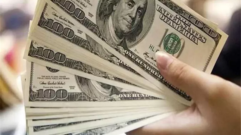 استقرار سعر الدولار الرسمي اليوم بمختلف البنوك المصرية