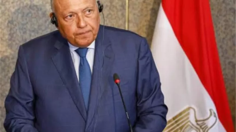 شكري يؤكد على ضرورة منح المساعدات الإنسانية إلى غزة ووقف إطلاق النار 