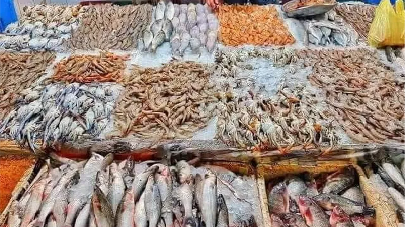 أسعار السمك اليوم الأحد 26-5-2024 بحسب المنطقة