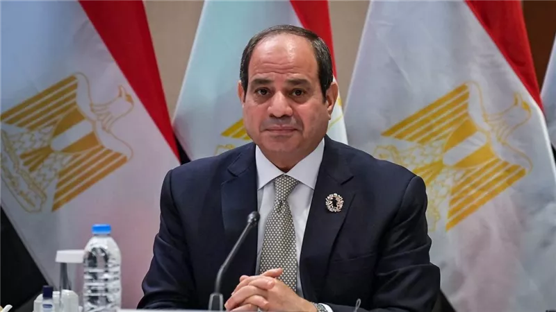 السيسي: لا نستطيع توفير احتياجات القمح حاليا ونضطر لإستيراده