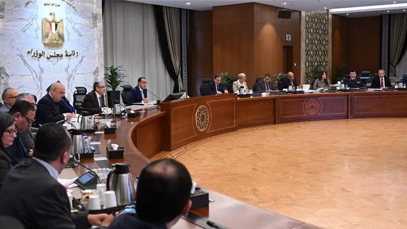 الأعلى للطاقة يعتمد الاستراتيجية الوطنية للهيدروجين مُنخفض الكربون