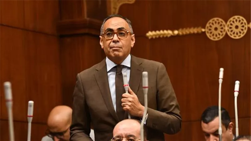 نائب: الاستثمارات الخاصة تُعانى ويحتاج إلى مزيد من الجدية لتحقيق التنمية الاقتصادية