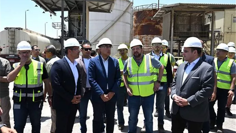 أحمد سمير: الحكومة تستهدف زيادة الإنتاج المحلي من الزيوت النباتية