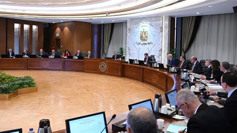رئيس الوزراء يترأس اجتماع المجلس الوطني للهيدروجين الأخضر