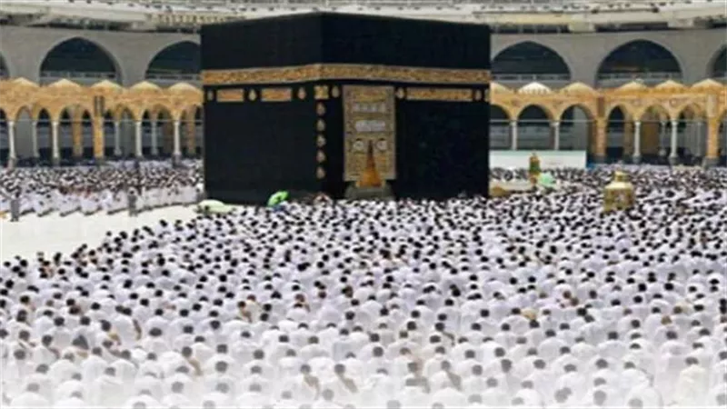 بالصور.. نقل 45 ألف حاج إلي جدة والمدينة المنورة هذا العام