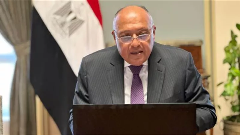 على هامش اجتماعات بون للمناخ.. شكرى يترأس اجتماعا افتراضيا لهيئة مكتب cop27