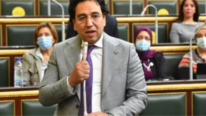 برلماني: الرئيس السيسي سيناقش سبل الاستقرار في المنطقة على مائدة القمة