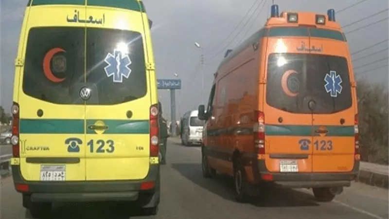 انقلاب سيارة ربع نقل يُصيب 13 عاملًا بالطريق الصحراوي الغربي