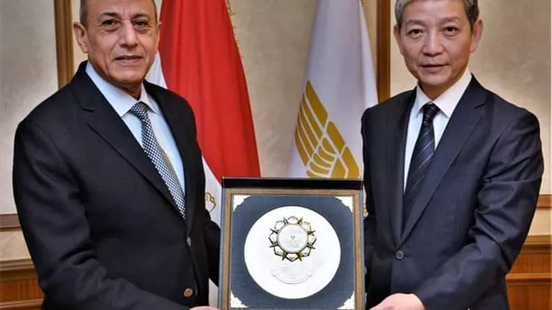 وزير الطيران يبحث مع السفير الصيني تعزيز التعاون المشترك فى مجال النقل الجوي 
