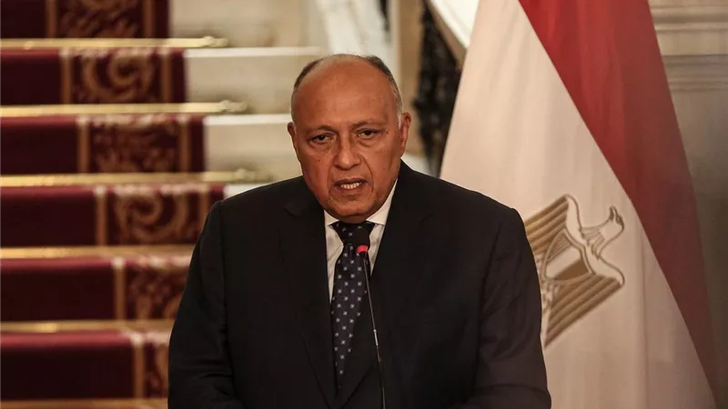 شكري: لقاء السيسي مع نظيره الصيني تناول كافة قضايا التعاون المصرى الصينى