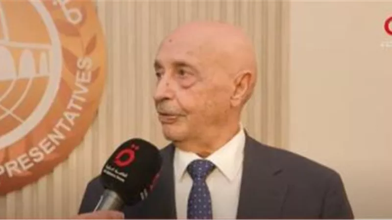 صالح: مصر لم تتدخل في شؤوننا وتدعم الحفاظ على وحدتنا