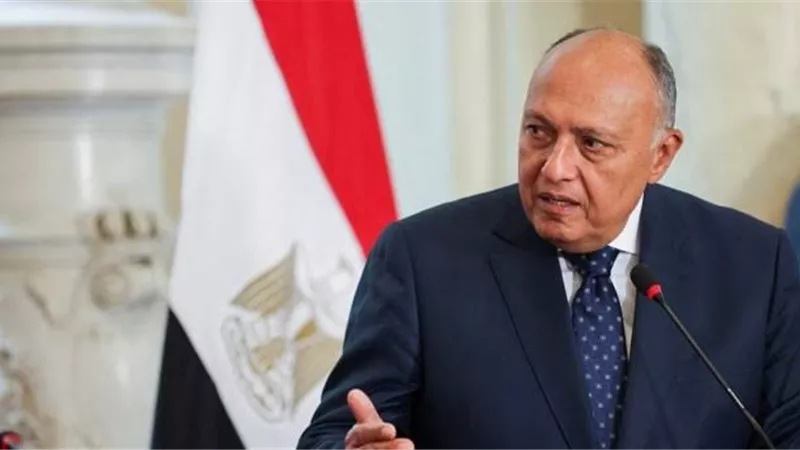 شكري يشارك في اجتماعات اللجنة المشتركة المصرية الجنوب أفريقية