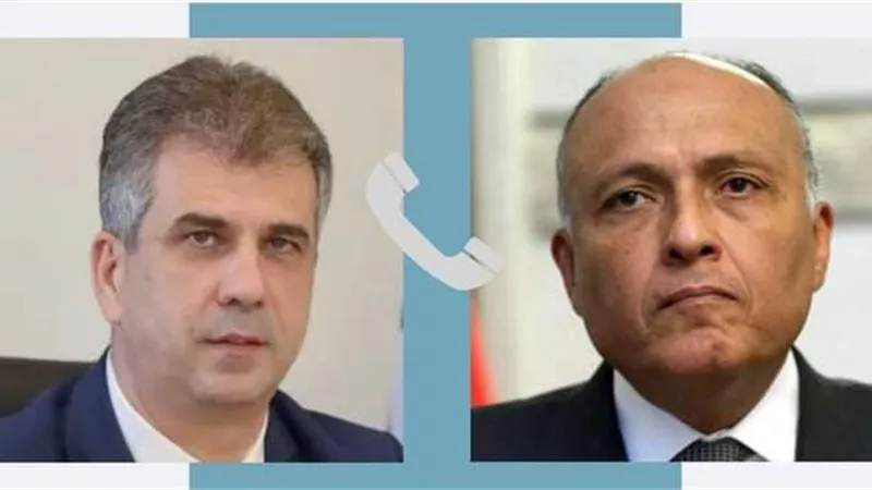 اتصال هاتفي بين وزيري خارجية مصر وإسرائيل.. تفاصيل
