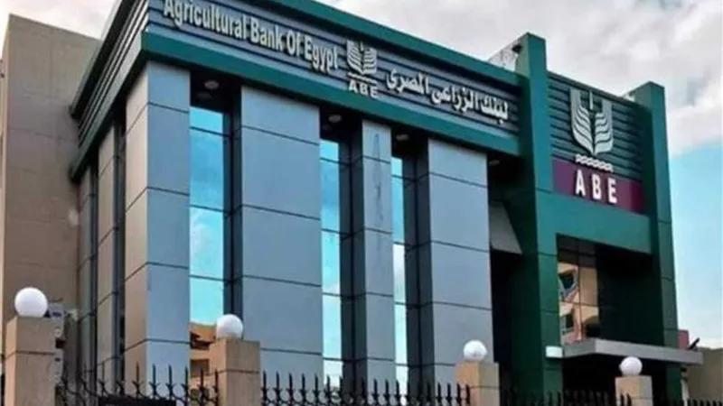 مبادرة دعم شركات القطاع الخاص الصناعى من البنك الرزاعي