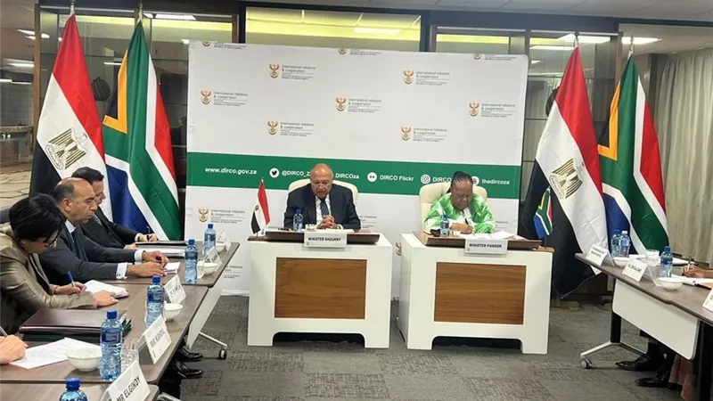 وزير الخارجية يبحث مع نظيرته الجنوب أفريقية التوترات الحالية بالإقليم
