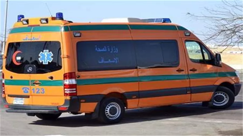 فرح ينقلب لمأتم.. مصرع 8 أشخاص إثر حادث فى الدقهلية