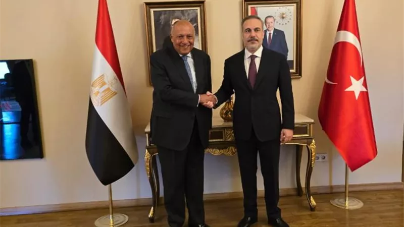 تعاون مصري تركي لمواجهة التحديات ذات الاهتمام المشترك